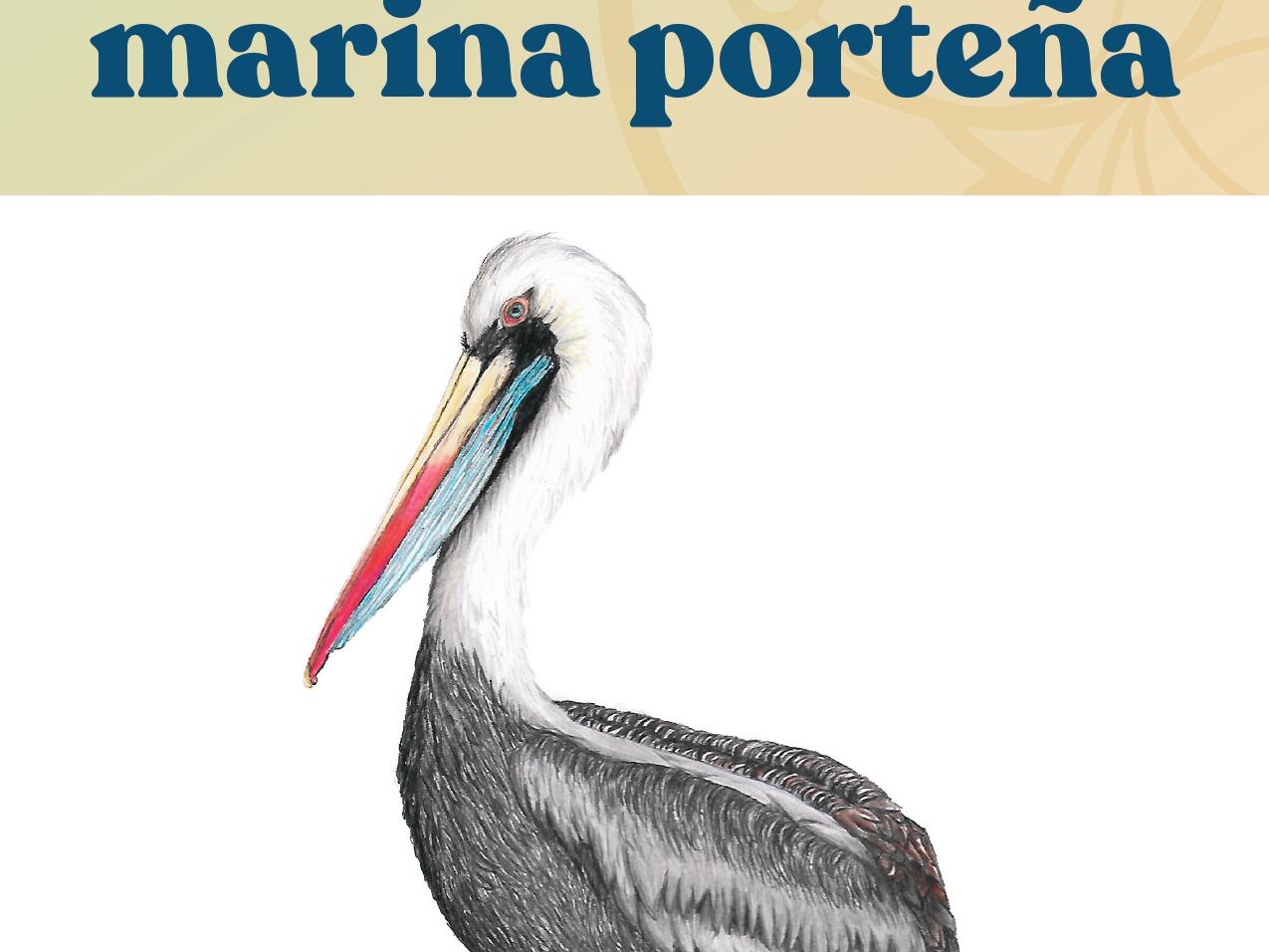 Portada libro Biodiversidad marina porteña