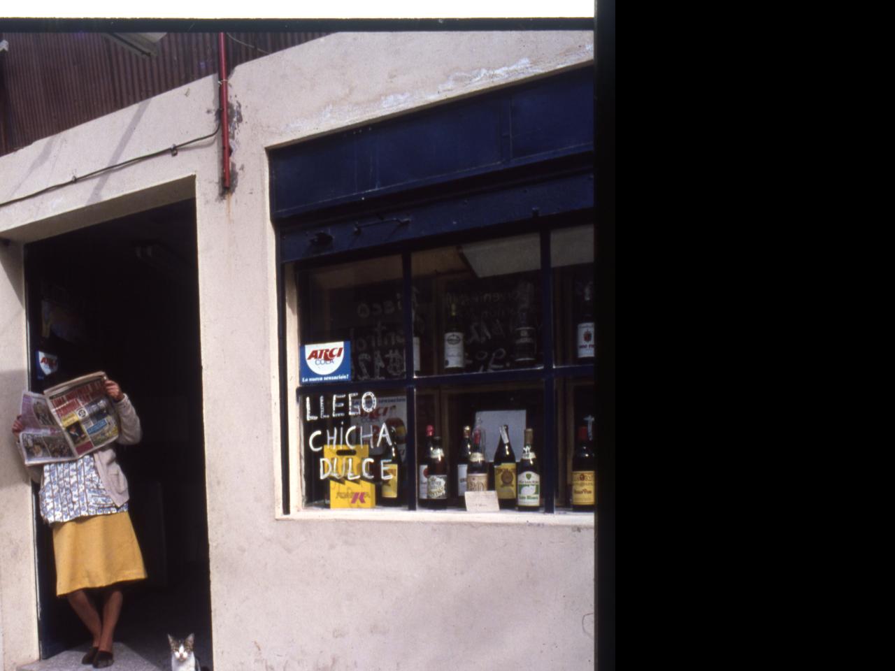 Avenida Francia / Mujer lee un diario y  gatos