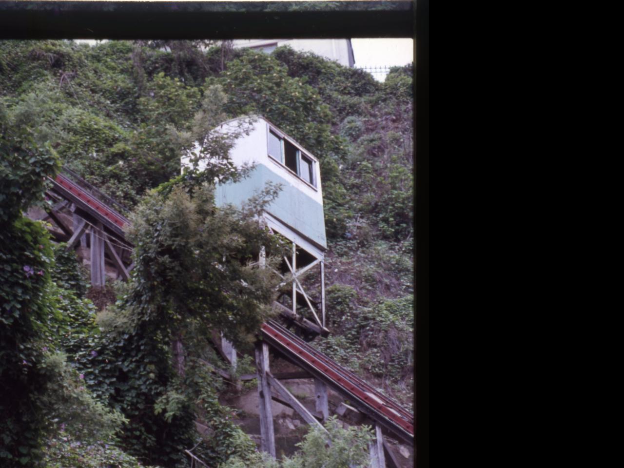 Ascensor Turri y una alcayota silvestre.