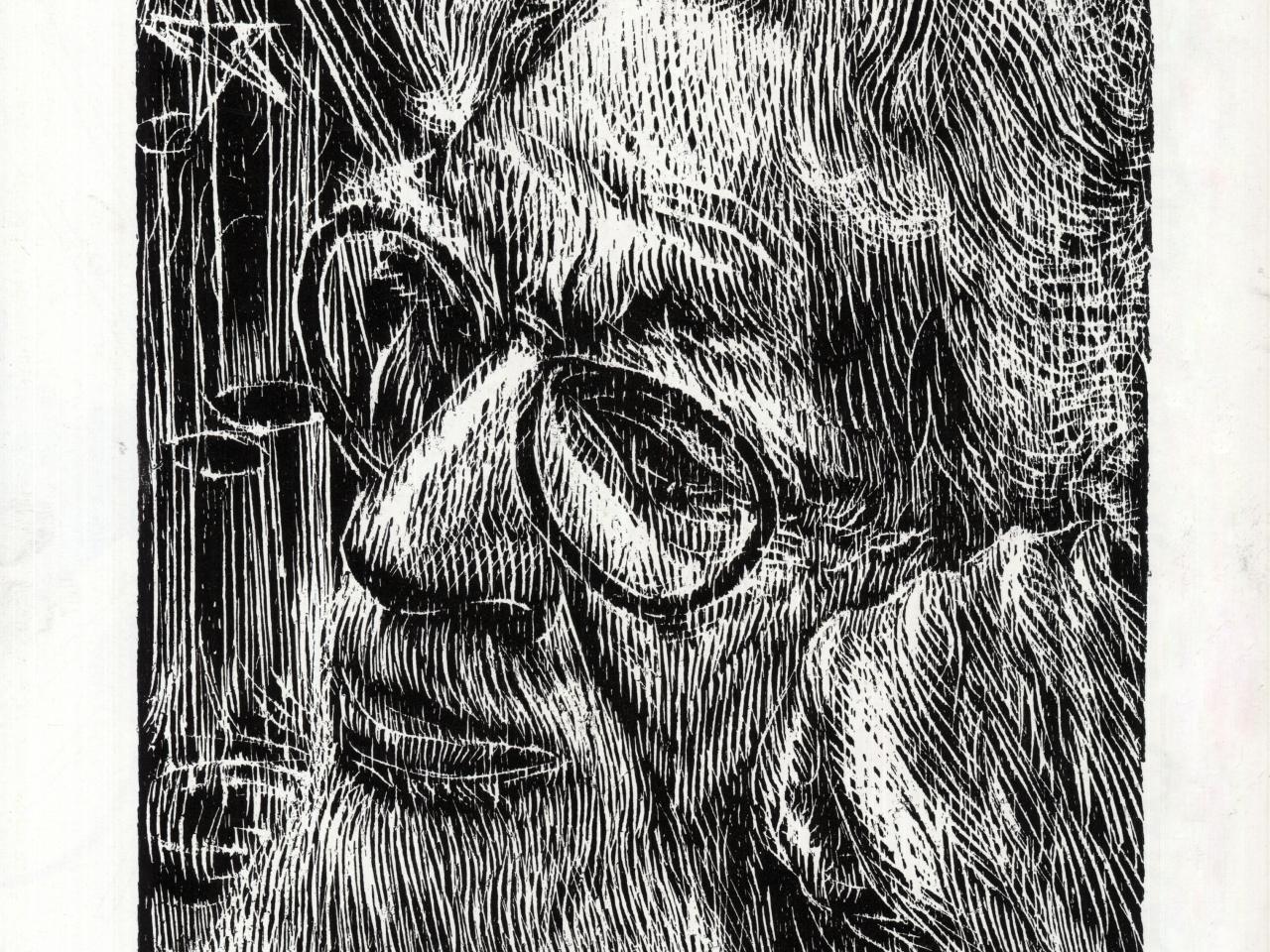 El sabio Lipschutz
