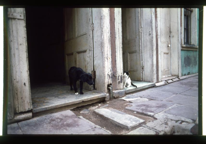 Calle Massini, Cerro Cordillera
