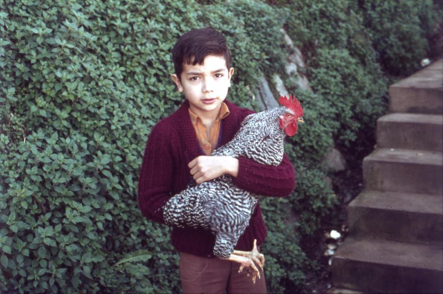 Niño con gallo en el Cerro Toro