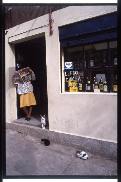 Avenida Francia / Mujer lee un diario y  gatos