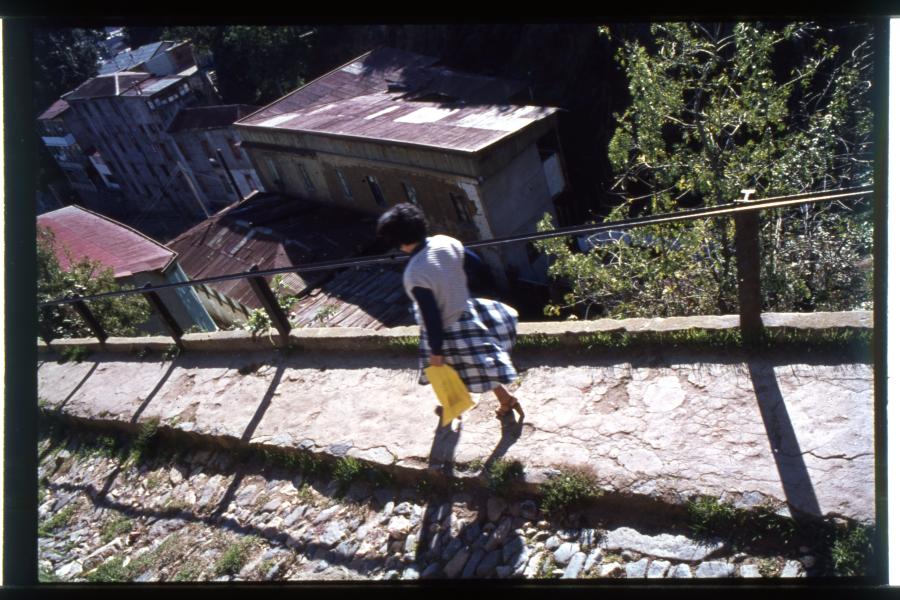 Calle Marambio / Cerro Cordillera