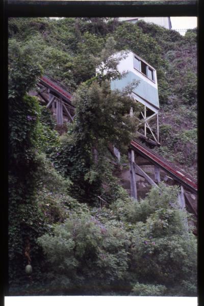 Ascensor Turri y una alcayota silvestre.